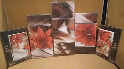 5pc wall picture Flowers $30.00
