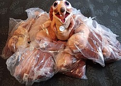 Ice age stuff animal with sound $10 each or ask about*Special* on this item!