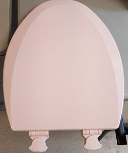 Pink toilet seat $30.00